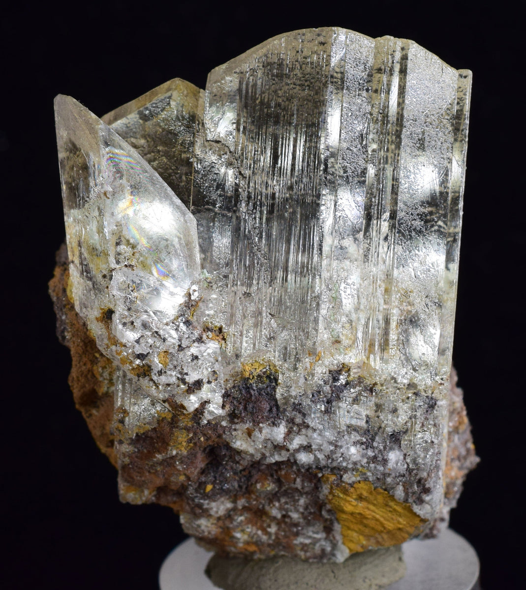 標本 Peru Colobgaster lesplendens 41mm SELENITE – therockingstone