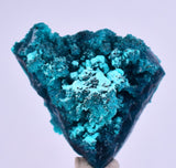 3cm GEM BLUE MALACHITE CHRYSOCOLLA PERU ROSETTE BOTRYOIDAL CRYSTAL GRAPE  UB127