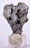 4.5cms NATIVE SILVER WIRE PERU ACANTHITE UCHUCCHACUA MINE MINERAL SPECIMEN HB183