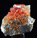 3.4cm VANADINITE CRYSTAL BARITE MIBLADEN MOROCCO MINIATURE MINERAL SPECIMEN WB13