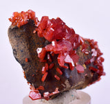 4.6cm VANADINITE HOLLANDITE CRYSTAL MIBLADEN MOROCCO  MINERAL SPECIMEN WB33