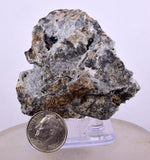 5.3cms NATIVE SILVER WIRE PERU ACANTHITE UCHUCCHACUA MINE MINERAL SPECIMEN HB170