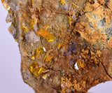 4.6cms GEM RARE WULFENITE FLUORITE MINI CRYSTALS ALAMO ARIZONA USA YB37