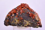 5.2cm VANADINITE HOLLANDITE CRYSTAL MIBLADEN MOROCCO  MINERAL SPECIMEN WB25