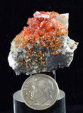 3.4cm VANADINITE CRYSTAL BARITE MIBLADEN MOROCCO MINIATURE MINERAL SPECIMEN WB13