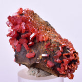 4.6cm VANADINITE HOLLANDITE CRYSTAL MIBLADEN MOROCCO  MINERAL SPECIMEN WB33