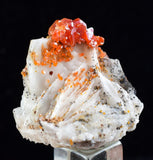 3.4cm VANADINITE CRYSTAL BARITE MIBLADEN MOROCCO MINIATURE MINERAL SPECIMEN WB13