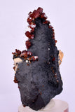 4.7cm VANADINITE HOLLANDITE CRYSTAL MIBLADEN MOROCCO MINERAL SPECIMEN WB23