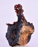 4.7cm VANADINITE HOLLANDITE CRYSTAL MIBLADEN MOROCCO MINERAL SPECIMEN WB23