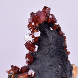 4.7cm VANADINITE HOLLANDITE CRYSTAL MIBLADEN MOROCCO MINERAL SPECIMEN WB23