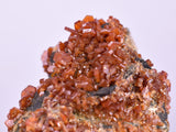 5.2cm VANADINITE HOLLANDITE CRYSTAL MIBLADEN MOROCCO  MINERAL SPECIMEN WB25
