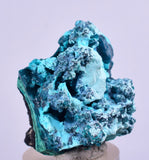 3cm GEM BLUE MALACHITE CHRYSOCOLLA PERU ROSETTE BOTRYOIDAL CRYSTAL GRAPE  UB126