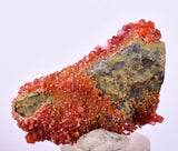 4.6cm VANADINITE HOLLANDITE CRYSTAL MIBLADEN MOROCCO  MINERAL SPECIMEN WB33