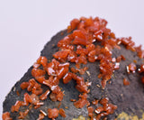 5.2cm VANADINITE HOLLANDITE CRYSTAL MIBLADEN MOROCCO  MINERAL SPECIMEN WB25