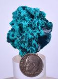 3cm GEM BLUE MALACHITE CHRYSOCOLLA PERU ROSETTE BOTRYOIDAL CRYSTAL GRAPE  UB123