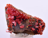 4.6cm VANADINITE HOLLANDITE CRYSTAL MIBLADEN MOROCCO  MINERAL SPECIMEN WB33