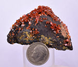 5.2cm VANADINITE HOLLANDITE CRYSTAL MIBLADEN MOROCCO  MINERAL SPECIMEN WB25