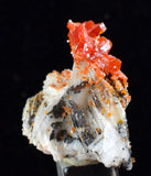 3.4cm VANADINITE CRYSTAL BARITE MIBLADEN MOROCCO MINIATURE MINERAL SPECIMEN WB13