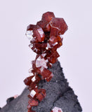 4.7cm VANADINITE HOLLANDITE CRYSTAL MIBLADEN MOROCCO MINERAL SPECIMEN WB23