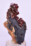 4.7cm VANADINITE HOLLANDITE CRYSTAL MIBLADEN MOROCCO MINERAL SPECIMEN WB23