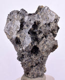 4.5cms NATIVE SILVER WIRE PERU ACANTHITE UCHUCCHACUA MINE MINERAL SPECIMEN HB183