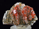 4cm VANADINITE CRYSTAL BARITE MIBLADEN MOROCCO MINIATURE MINERAL SPECIMEN WB17