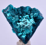 3cm GEM BLUE MALACHITE CHRYSOCOLLA PERU ROSETTE BOTRYOIDAL CRYSTAL GRAPE  UB127