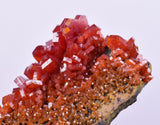 4.6cm VANADINITE HOLLANDITE CRYSTAL MIBLADEN MOROCCO  MINERAL SPECIMEN WB33