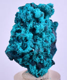 3cm GEM BLUE MALACHITE CHRYSOCOLLA PERU ROSETTE BOTRYOIDAL CRYSTAL GRAPE  UB123