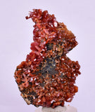 5.8cm VANADINITE HOLLANDITE CRYSTAL MIBLADEN MOROCCO  MINERAL SPECIMEN WB24