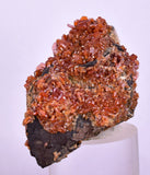 5.2cm VANADINITE HOLLANDITE CRYSTAL MIBLADEN MOROCCO  MINERAL SPECIMEN WB25