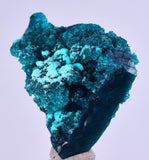 3cm GEM BLUE MALACHITE CHRYSOCOLLA PERU ROSETTE BOTRYOIDAL CRYSTAL GRAPE  UB127