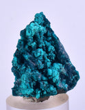 3cm GEM BLUE MALACHITE CHRYSOCOLLA PERU ROSETTE BOTRYOIDAL CRYSTAL GRAPE  UB124