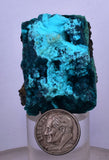 3cm GEM BLUE MALACHITE CHRYSOCOLLA PERU ROSETTE BOTRYOIDAL CRYSTAL GRAPE  UB187