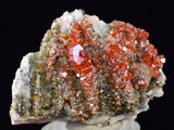 4cm VANADINITE CRYSTAL BARITE MIBLADEN MOROCCO MINIATURE MINERAL SPECIMEN WB17