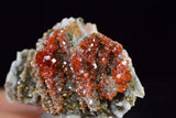4cm VANADINITE CRYSTAL BARITE MIBLADEN MOROCCO MINIATURE MINERAL SPECIMEN WB17