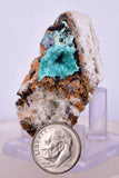 4.9cms CHRYSOCOLLA MALACHITE SELENITE CRYSTALS PERU QUARTZ CALCITE CB202
