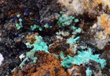 5.6cms CHRYSOCOLLA MALACHITE SELENITE CRYSTALS PERU QUARTZ CALCITE CB203