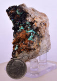 5.6cms CHRYSOCOLLA MALACHITE SELENITE CRYSTALS PERU QUARTZ CALCITE CB203