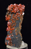 4.9cm VANADINITE CRYSTAL MIBLADEN MOROCCO MINIATURE MINERAL SPECIMEN WB35