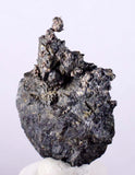 4.5cms NATIVE SILVER WIRES Peru Uchuchaccua Mine 2000 Discovery Mineral Specimen H259