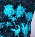 5.3cms BLUE MALACHITE BOTRYOIDAL Peru Crystals Grape Spheres Rosette Translucent New Find Stalactite Minerals Specimensn U547