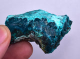 5.1cms GEM BLUE MALACHITE Peru Translucent Chrysocolla Botryoidal Crystal U576