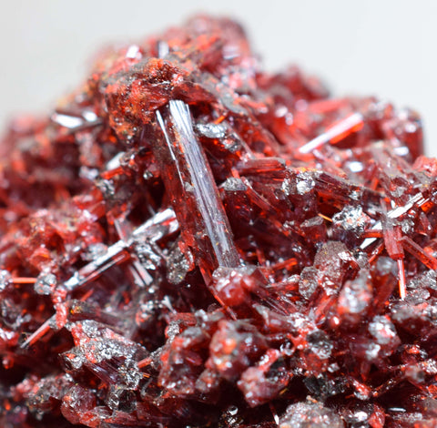 REALGAR