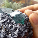 6.3cms GEOCRONITE JORDANITE FLUORITE  BOULANGERITE CRYSTALS PERU MILPO PERU SHINY KB63