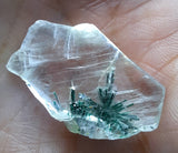 3cms GEM ATACAMITE INSIDE SELENITE CRYSTAL LILY MINE PERU TB173