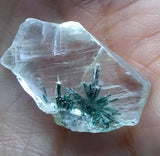3cms GEM ATACAMITE INSIDE SELENITE CRYSTAL LILY MINE PERU TB173
