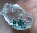 3cms GEM ATACAMITE INSIDE SELENITE CRYSTAL LILY MINE PERU TB173