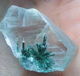 3cms GEM ATACAMITE INSIDE SELENITE CRYSTAL LILY MINE PERU TB173