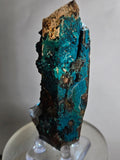 9.9cms QUARTZ CHRYSOCOLLA BOTRYOIDAL TENTADORA MINE PERU MINERAL SPECIMEN CB214